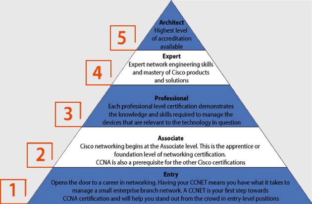 Cisco Pyramide